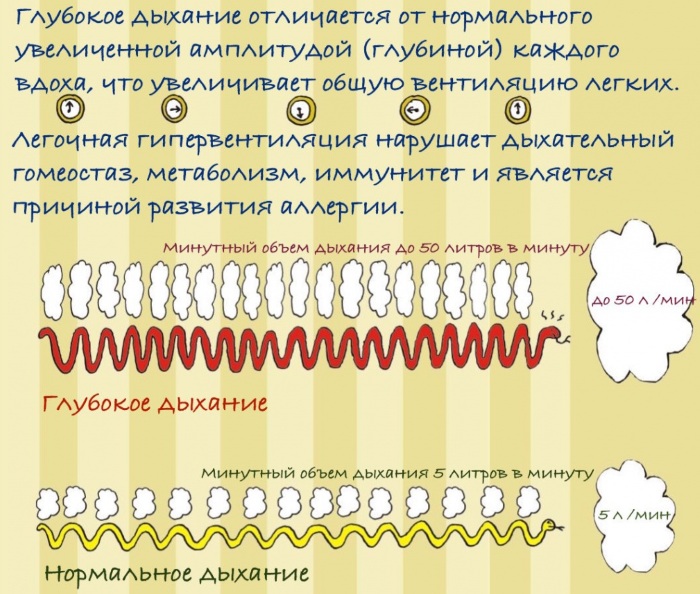 Дыхание по Бутейко. Подробные шаги, методика от болезней, показания, противопоказания