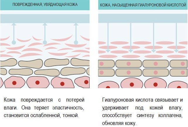 Эмолиум (Emolium) эмульсия для тела. Инструкция по применению, отзывы, цена, аналоги