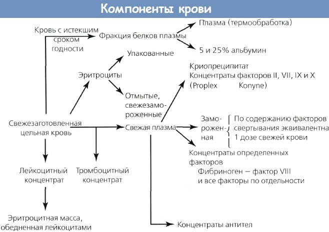 Эритроцитарная масса. Что это, когда применяется, цель, показания