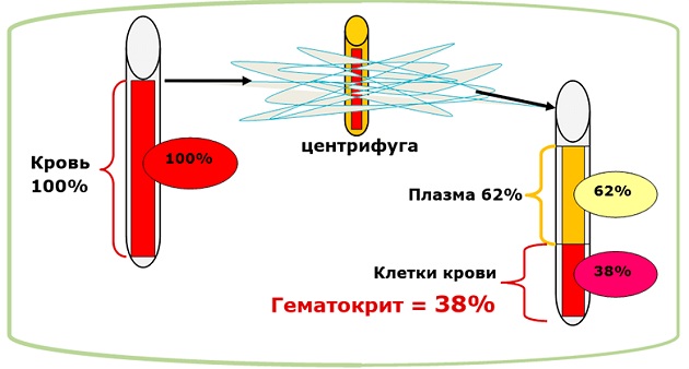 Эритроцитарная масса. Что это, когда применяется, цель, показания