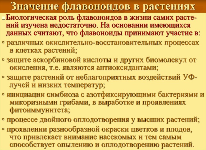 Флавоноиды. Влияние на организм, в каких продуктах содержится, полезные свойства, применение