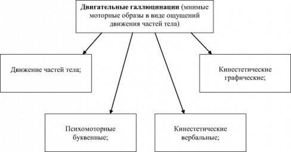 Галлюцинации в психологии, психиатрии. Что это такое, картинки, определение, классификация, симптомы