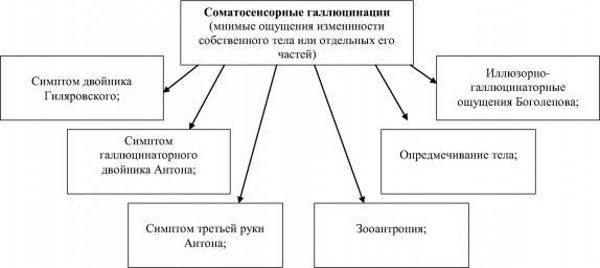 Галлюцинации в психологии, психиатрии. Что это такое, картинки, определение, классификация, симптомы