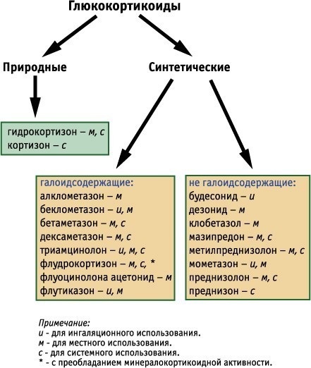 Глюкокортикоиды (ГКС). Инструкция, показания к применению. Список препаратов