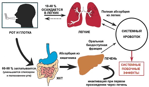 Глюкокортикоиды (ГКС). Инструкция, показания к применению. Список препаратов