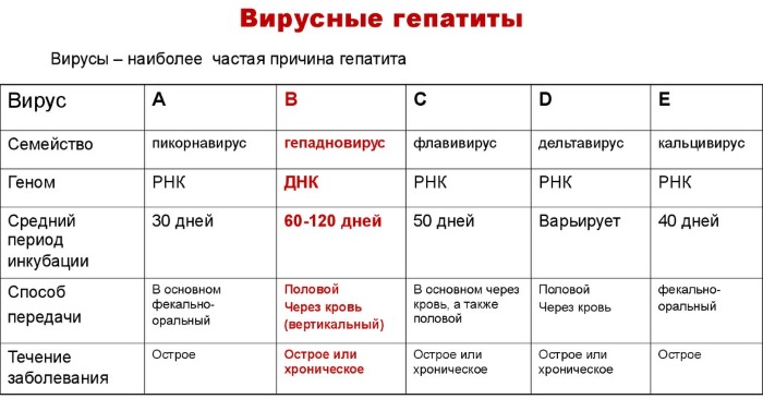 Хронический гепатит. Внепеченочные признаки, симптомы, патогенез, осложнения