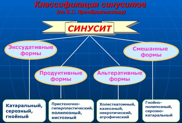 Хронический синусит. Симптомы и лечение у взрослых, детей, клинические рекомендации