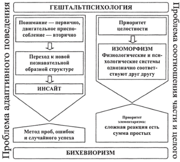 Инсайт в психологии. Что это такое, принципы, методы, примеры