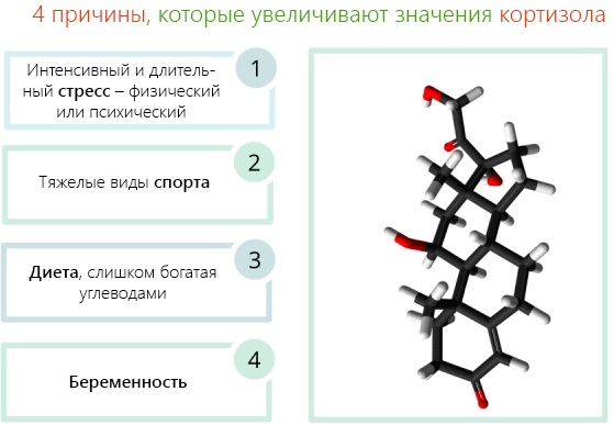 Гормон Кортизол. За что отвечает в организме человека, где вырабатывается