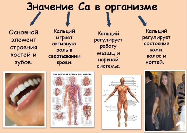 Кальций в таблетках: лучший недорогой, цена, отзывы, инструкция по применению