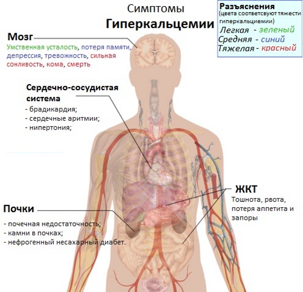 Кальций в аптеке противопоказания thumbnail