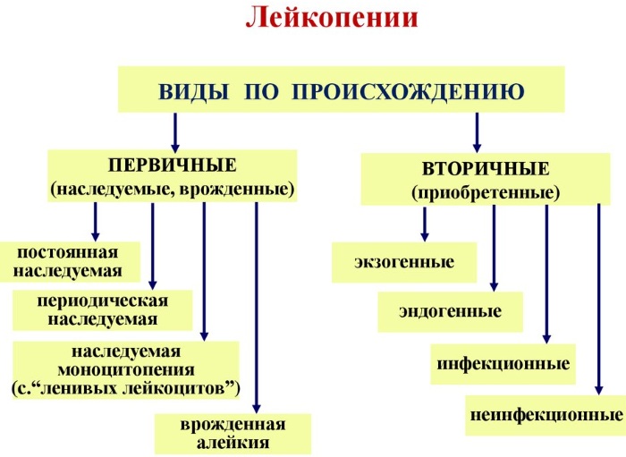 Лейкопения. Причины возникновения у взрослых, ребенка, симптомы, лечение