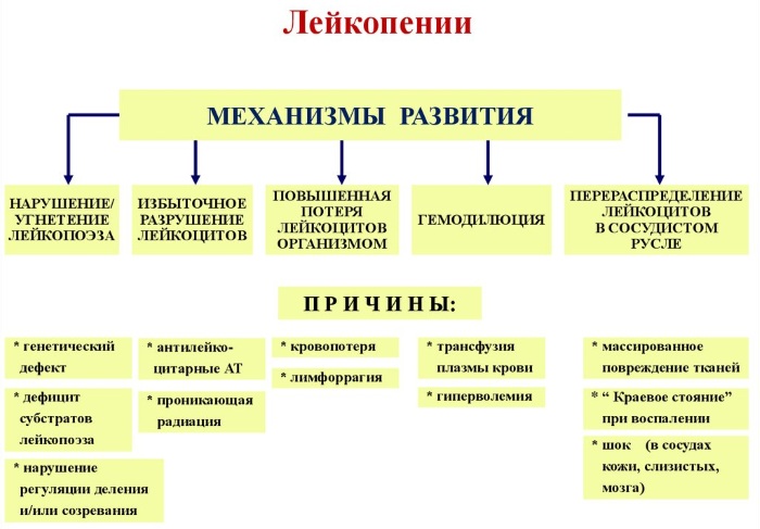 Лейкопения. Причины возникновения у взрослых, ребенка, симптомы, лечение