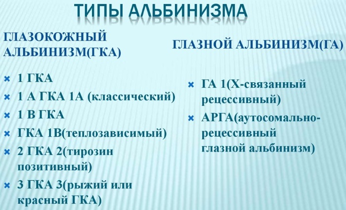 Люди альбиносы с красными глазами настоящие. Фото, внешность, почему такие