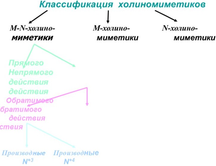 М-холиномиметики. Механизм действия, что это такое, показания к применению, препараты