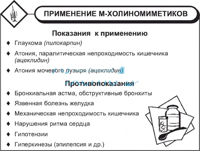 М-холиномиметики. Механизм действия, что это такое, показания к применению, препараты