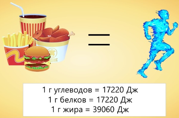 Метаболизм в организме человека. Что это такое простыми словами, как его улучшить