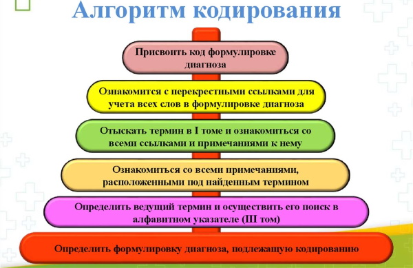 Международная классификация болезней (МКБ). Что это такое, таблица, список, история создания