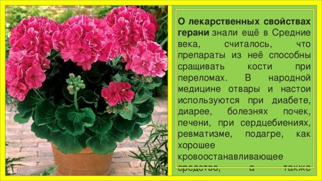 Неврологические заболевания у взрослых, детей. Список, что это такое, симптомы и лечение