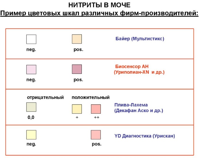 Нитриты в моче у женщины, мужчин, ребенка. Что это значит, причины, как лечить