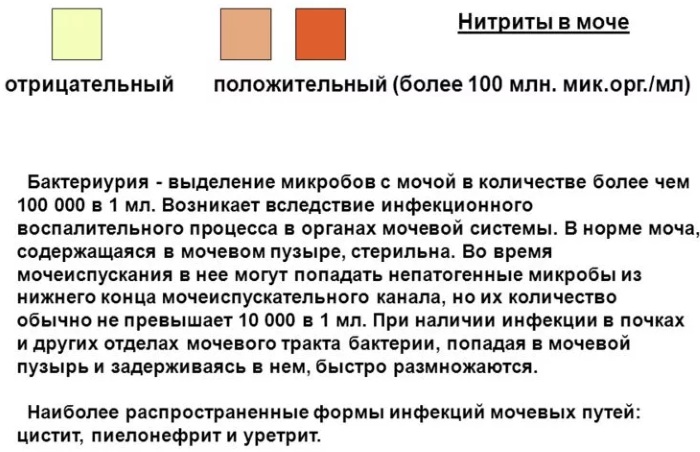 Нитриты в моче у женщины, мужчин, ребенка. Что это значит, причины, как лечить