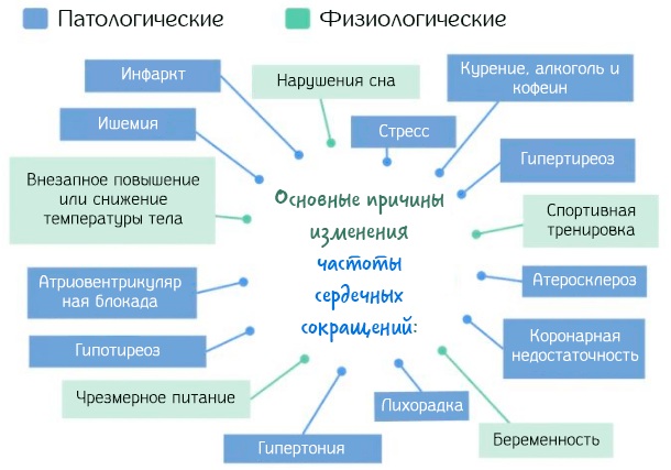 Нормальный пульс у подростка 12-13-14-15-16-17 лет при физических нагрузках, после приседаний, в спокойном состоянии