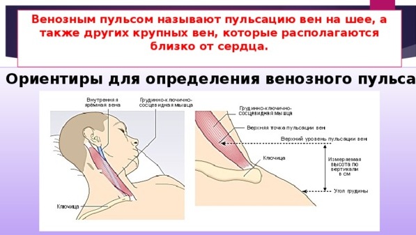 Нормальный пульс у подростка 12-13-14-15-16-17 лет при физических нагрузках, после приседаний, в спокойном состоянии