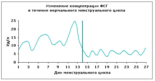 Окно фертильности. Что это такое у женщин, как рассчитать, проявляется, признаки