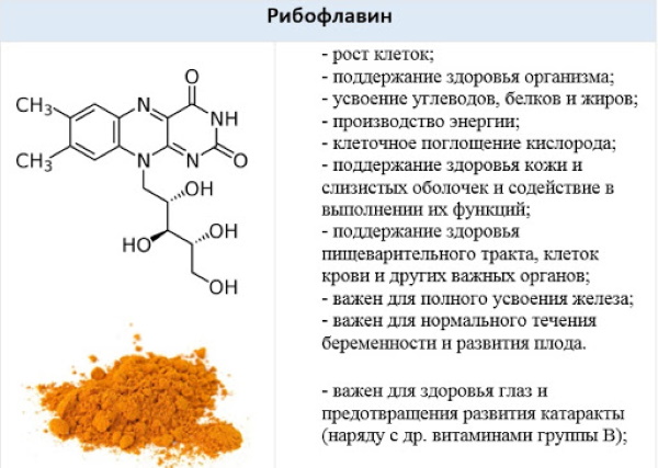 Суппортан (Supportan) для энтерального питания. Инструкция по применению, цена, отзывы