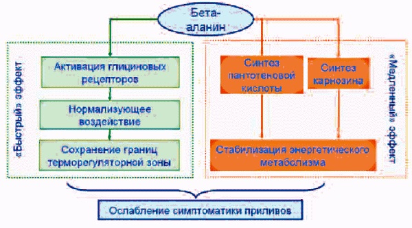 Ци-Клим Аланин (Ci-Clim Alanine). Цена, инструкция по применению, побочные эффекты, состав