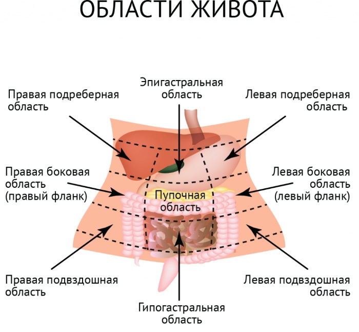 Тяжесть в правом боку под ребрами. Причины после еды, алкоголя, лечение