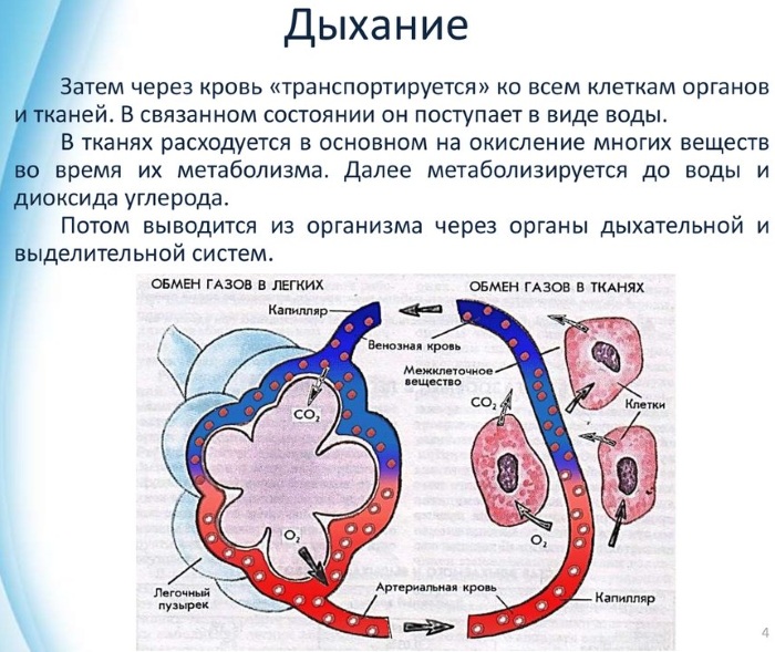 Выделение крови при стуле