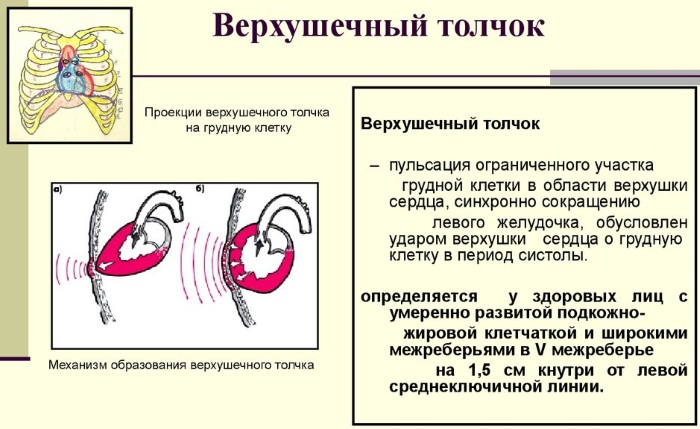 Верхушечный толчок. Норма у детей, при гипертонической болезни, гипертрофии желудочка, ИБС