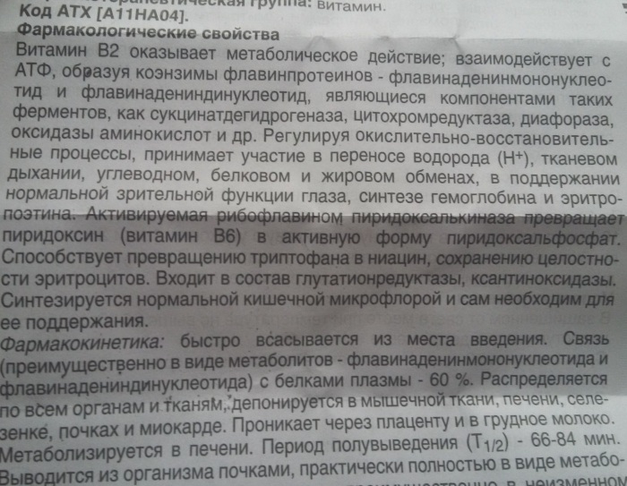 Витамин В2 (рибофлавин) в ампулах. Инструкция по применению, для чего нужен, цена