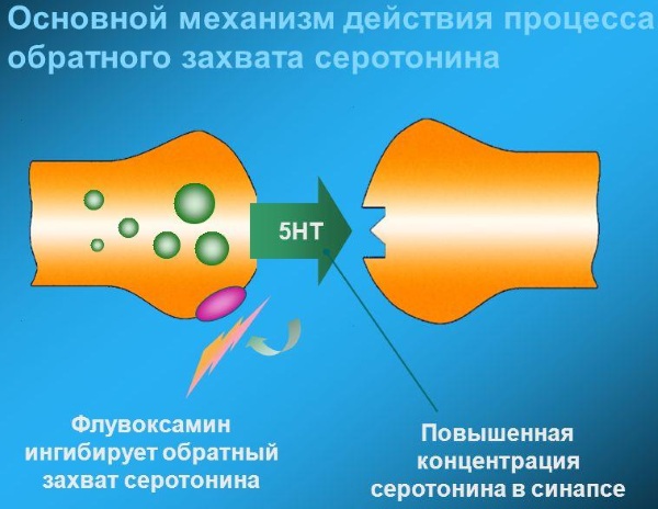 Золофт (Zoloft). Инструкция по применению, цена, отзывы пациентов