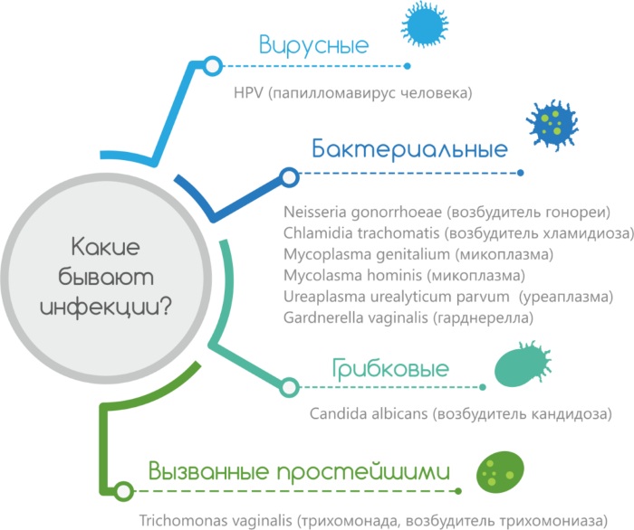 Анализ на ИППП (инфекции передаваемые половым путем). Цена, как берут у женщин, мужчин