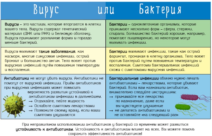 Анализы на бактериальные инфекции кишечника, гинекологии, у мужчин, детей, женщин