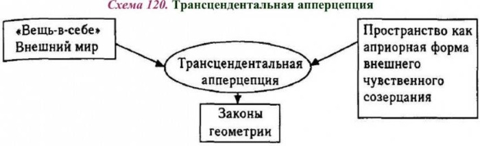 Апперцепция в психологии. Что это такое, определение: восприятия, трансцендентальная, временная, общая, Вундта