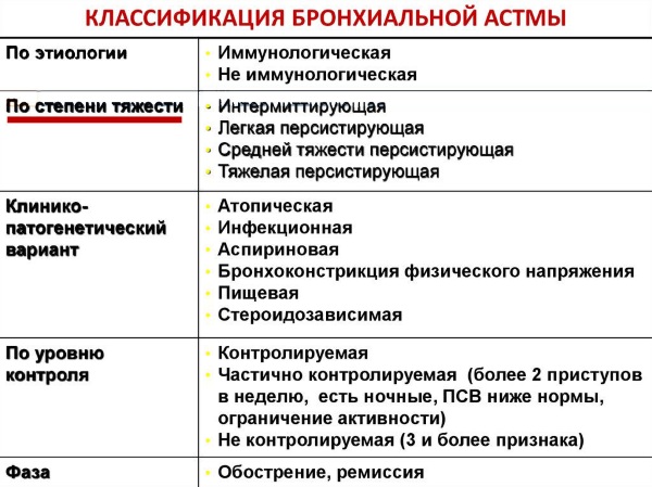 Атопическая бронхиальная астма. Что это такое, клинические рекомендации, лечение