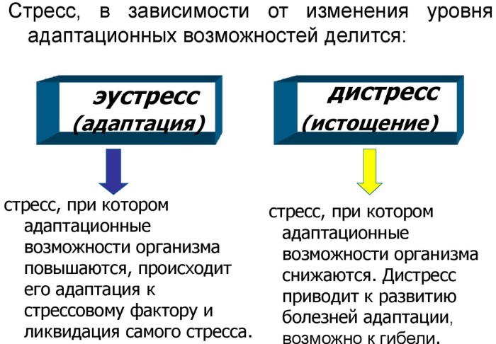 Стадии стресса в психологии. Что это такое по Селье, Торсунову, характеристика