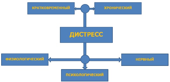 Дистресс в психологии. Что это такое, примеры, как избавиться, чем отличается от стресса, эустресса