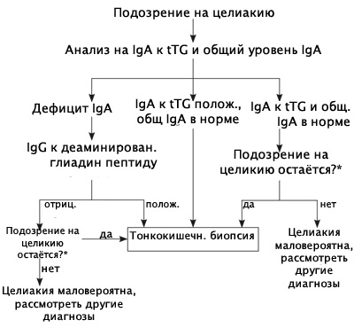 Генетический анализ на целиакию. Подготовка, расшифровка показателей, цена