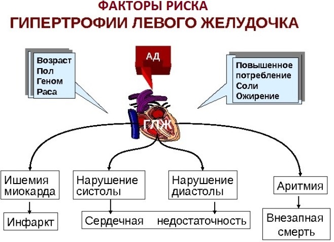 Гипотрофия. Что это за расстройство питания, лечение, клинические рекомендации, степени