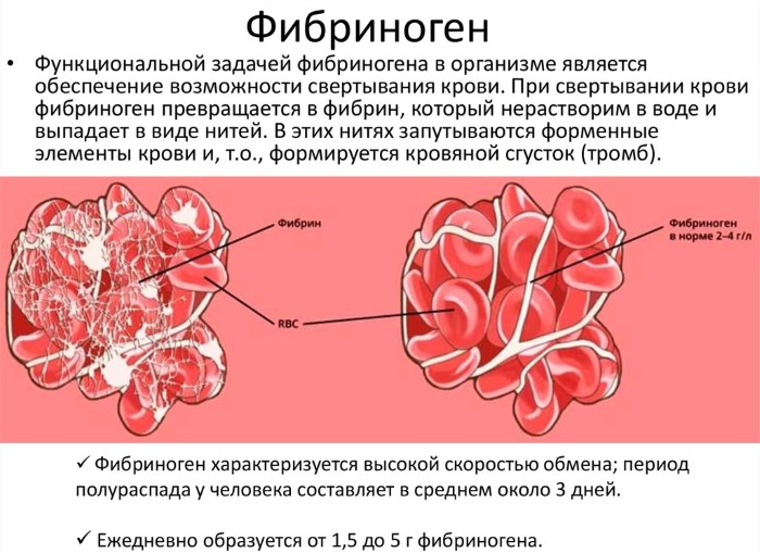 Коагулограмма крови. Норма у женщин по возрасту. Таблица с расшифровкой