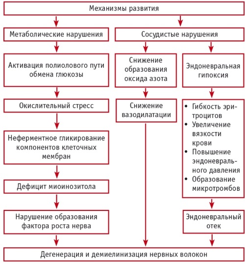 Нейропатия нижних конечностей. Симптомы, препараты, лечение у пожилых, детей, взрослых