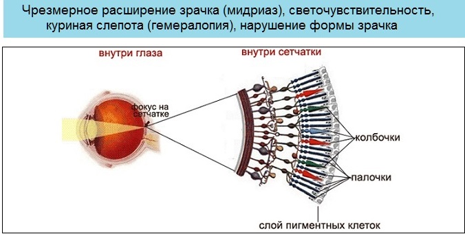 Очки для дальтоников. Цена, где купить, как работают, отзывы