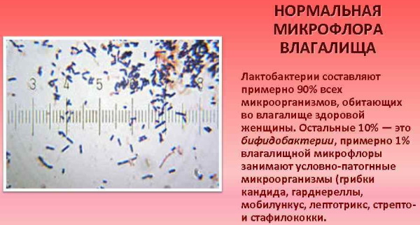 Фарматекс (Pharmatex) свечи. Инструкция по применению, цена, отзывы