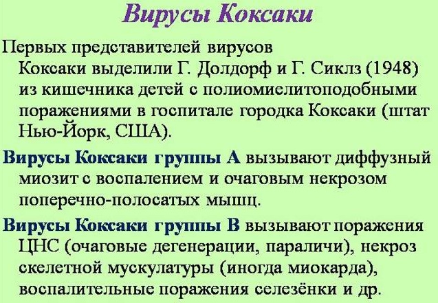 Подвздошная мышца. Где находится, анатомия, функции, болит, воспаление, растяжение, симптомы, как лечить