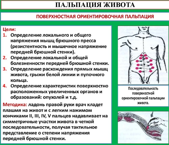 Поверхностная пальпация живота. Алгоритм, что определяет у детей, взрослых