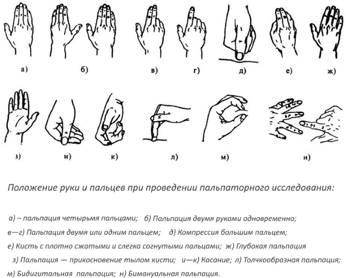 Поверхностная пальпация живота. Алгоритм, что определяет у детей, взрослых